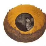 House jurta macska - környezetbarát, meleg és kényelmes, városi macskák