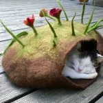 House jurta macska - környezetbarát, meleg és kényelmes, városi macskák