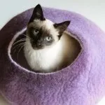 Casa Yurt cat - ecologic, cald și confortabil, pisici oraș