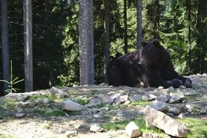 Drumuri din vestul Ucrainei