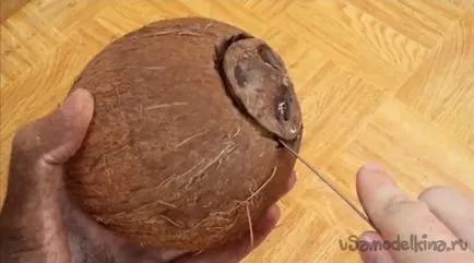 Casa de hamster din nuca de cocos