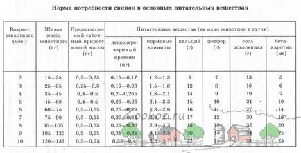 Ефективни прасета за угояване и прасенца у дома