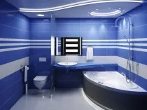 Foto modele de baie combinate, variante de stiluri, culori, sfaturi cu privire la aranjament