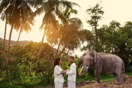 Fotós Bali - és az eredeti esküvői fotózást Bali, shantipictures