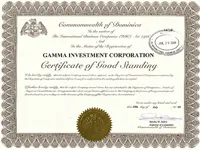 Gamma Corporation investiții - comentarii și recenzie