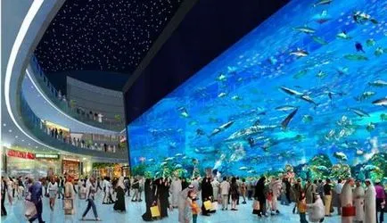 Къде са най-големият аквариум в света
