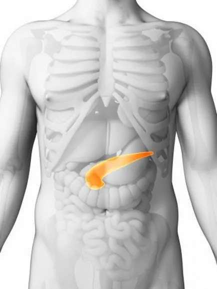 functiei pancreatice