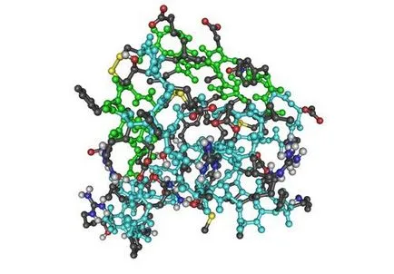 Insulina, secreția de insulină, tulburări de insulină