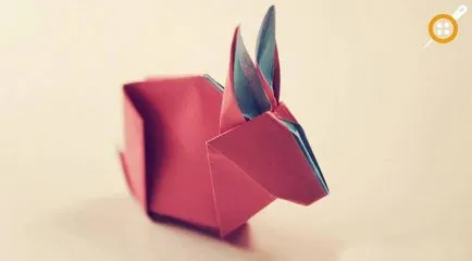 Efectuarea origami iepure - iepure vİdeolu curs de fabricare a hârtiei