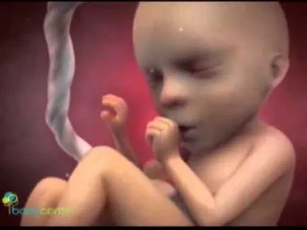 Cum și când să înceapă hrănirea copilului (fetus) și înainte de naștere în pântecele mamei