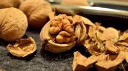 Как да посегнат орехи правилно и бързо у дома