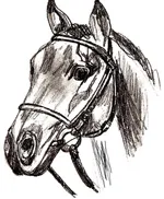 Cum de a desena un ponei în etape, a învăța să picteze creion ponei