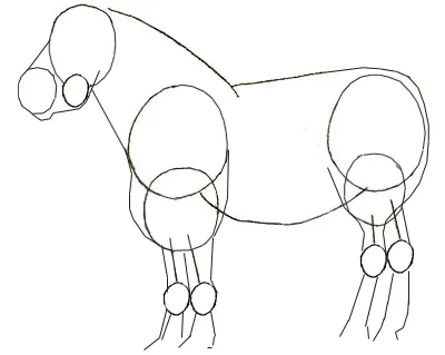 Cum de a desena un ponei în etape, a învăța să picteze creion ponei