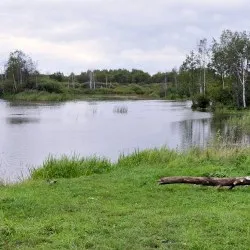 Üzleti terv a falusi turizmus