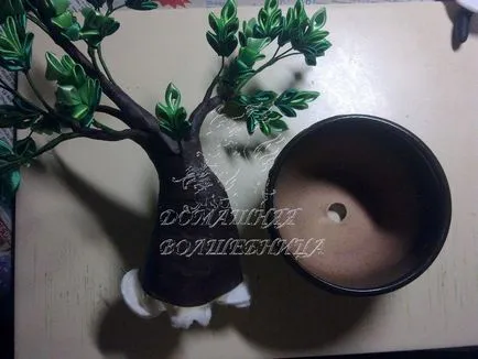 Páratlan bonsai fa kanzasi technika