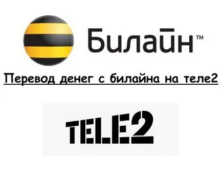 Бързи начини за прехвърляне на пари от Beeline, Tele2, стъпка по стъпка ръководство