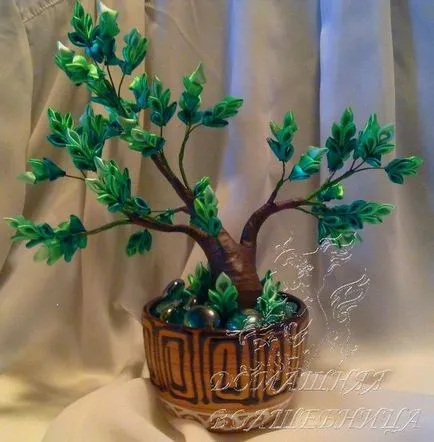 Páratlan bonsai fa kanzasi technika