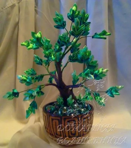 Páratlan bonsai fa kanzasi technika
