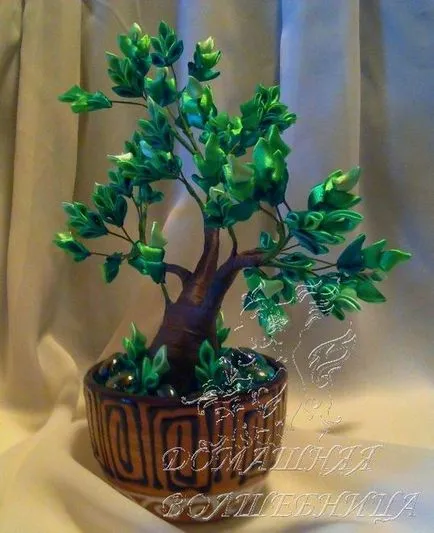 Páratlan bonsai fa kanzasi technika