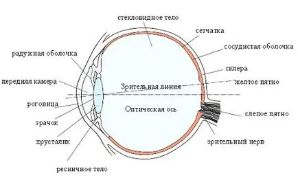 Лечение на късогледство и превантивни мерки за болести