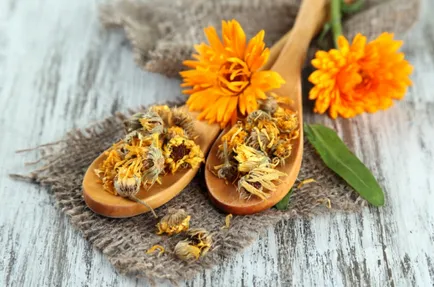 Kezelése stomatitis Calendula előnyei, hogyan kell főzni