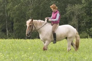 Cum să învețe să călărească un cal de management, șa și căpăstru