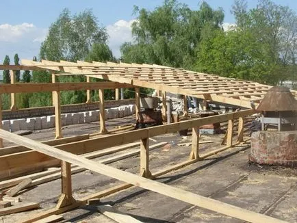 Cum de a construi un șopron cu un acoperiș șopron cu mâinile