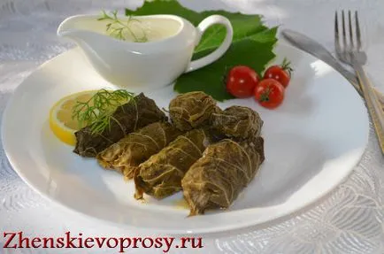 Cum de a găti o rețetă dolma dolma în frunze de struguri, problemele femeilor