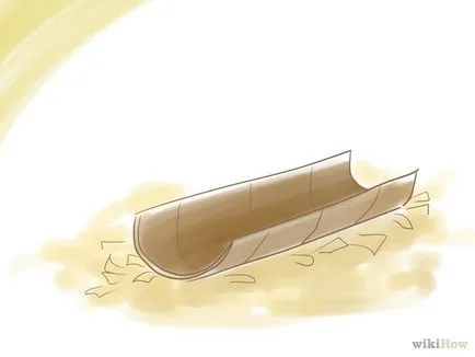Как да се забавлява морско свинче