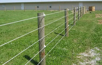 Как да си направим електрически (д) на оградата за котки, кучета и други животни