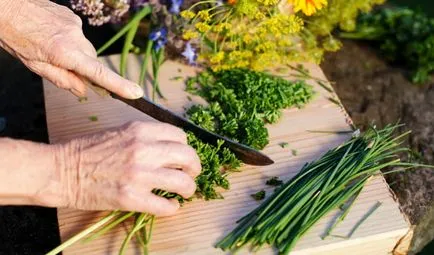 Cum de a deveni un ghid vegetarian de 10 etape