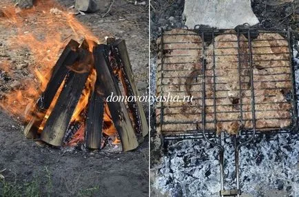 Как да се готви вкусно свинско пържола на дървени въглища, традиционните знания от Кравченко Anatoliya
