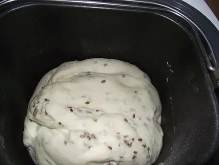 Cum se coace pâine în aparat de făcut pâine