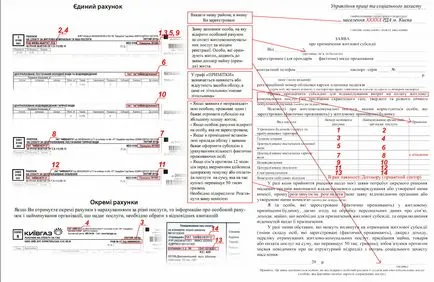 Cum să completeze actele pentru acordarea 1