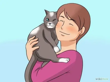 Cum să hipnotiza pisica