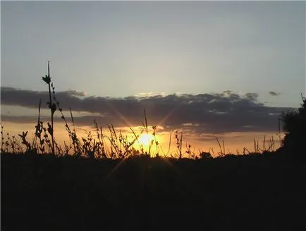 Találtam egy farm ősi önkényes falu