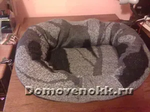 Ágyak macskák régi pulóverek kezük