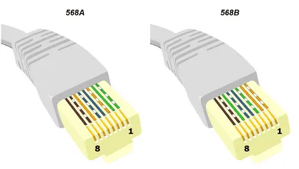 LAN kezével választás és a hálózati kábel krimpelő