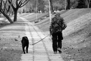 Klikkelő kutya síp ultrahangos néma riasztó és képzés - 12 obezyan