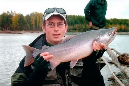 Kizsucslazac hogy a halak - a megjelenése, élőhely, szokásait, ívik, horgászat, halászat coho lazac,