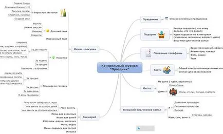 Pistă de audit doamnă Fly pentru ceea ce este nevoie și cum să facă