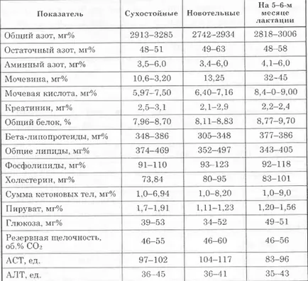 Ellenőrzése a hasznosságát etetés tehenek