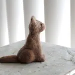 Cat rágás körmök körül a macskát