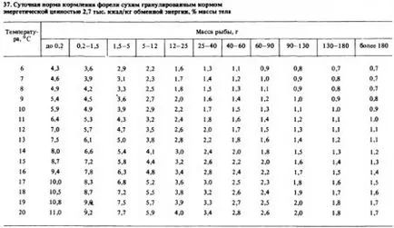 Etetés pisztráng, különböző korú (1. rész) - a technológia a hal és haltermékek