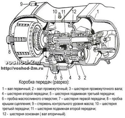 кутия изгрев