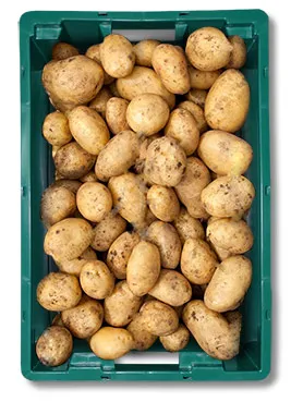 Купете пластмасови кутии за съхранение на картофи