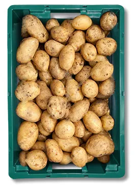 Купете пластмасови кутии за съхранение на картофи