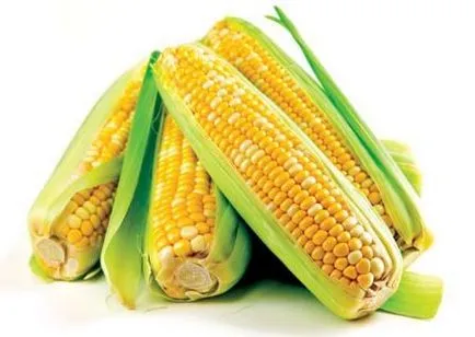 Corn kezelt (a kukorica selyem)