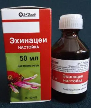 Proprietăți medicinale de Echinacea și contraindicații