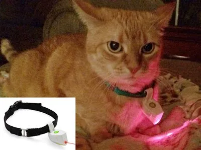 Лазерно играчка за котки